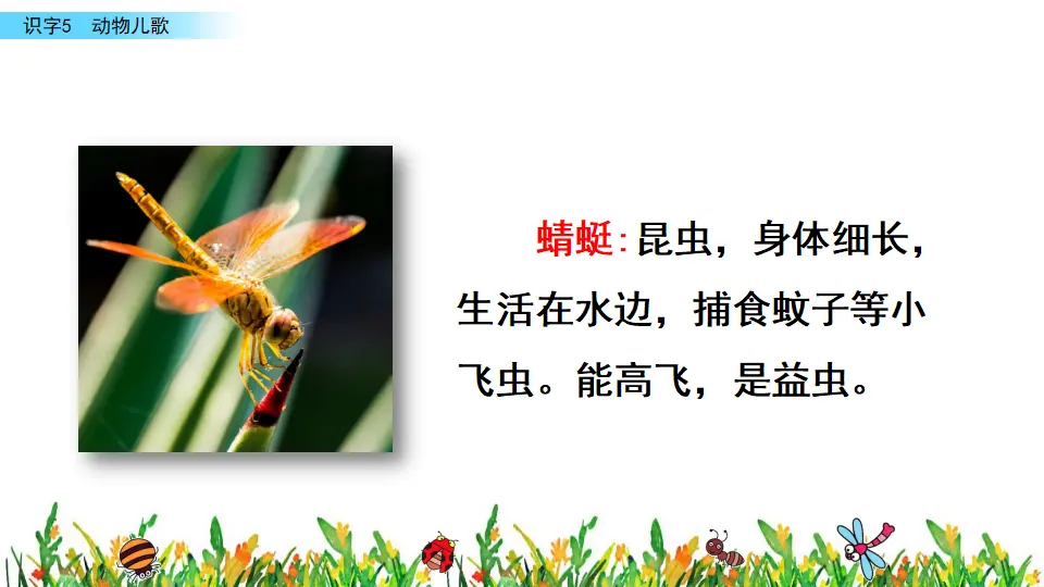 识字5 动物儿歌（课件3）_05.webp