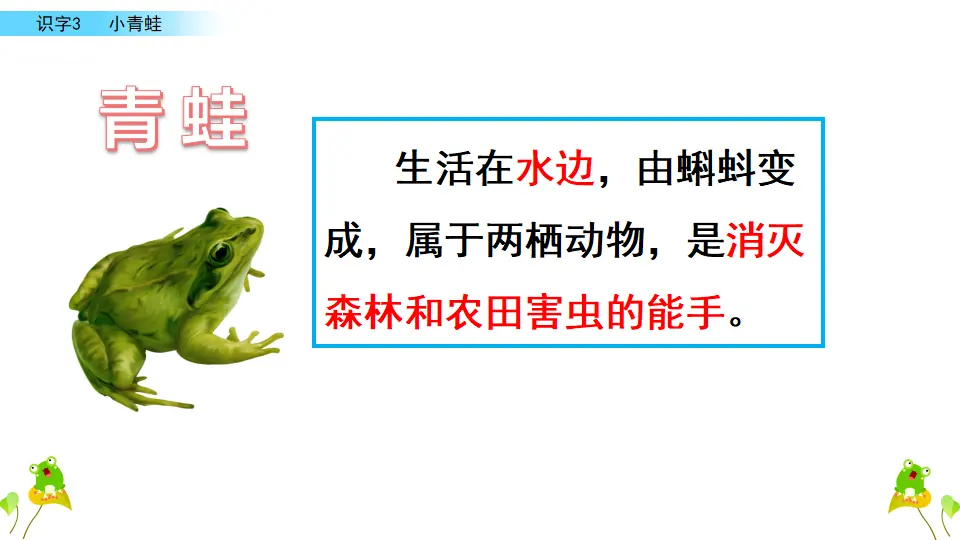 识字3 小青蛙（课件3）_03.webp