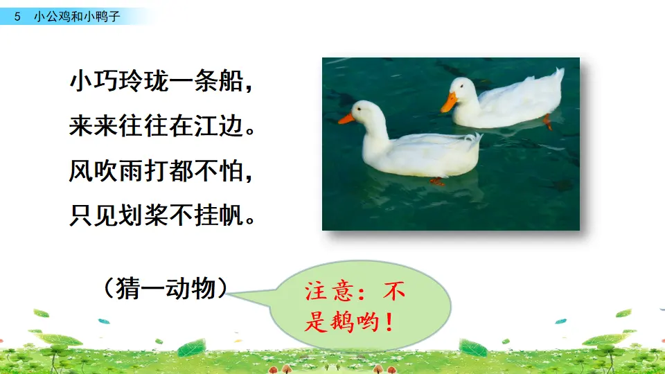 5 小公鸡和小鸭子（课件3）_02.webp