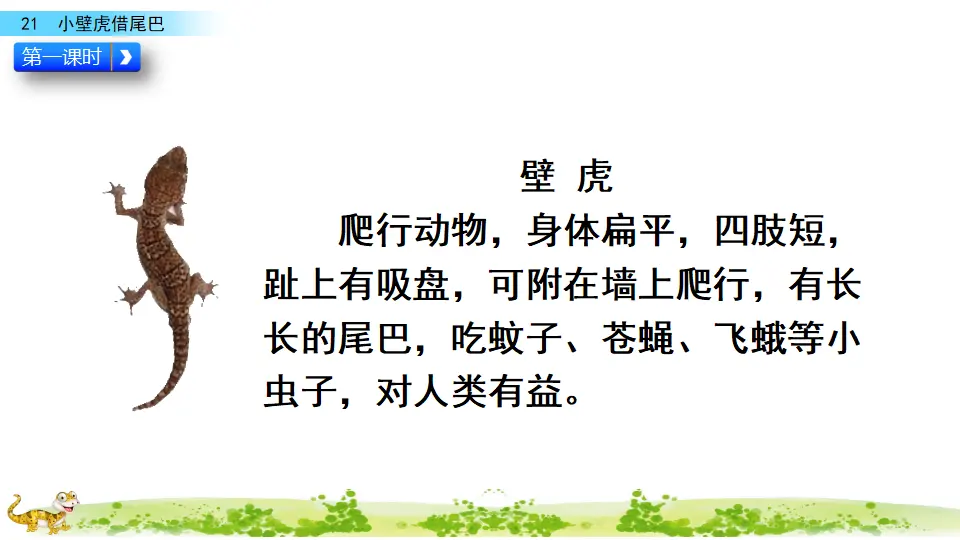 21 小壁虎借尾巴（课件3）_03.webp