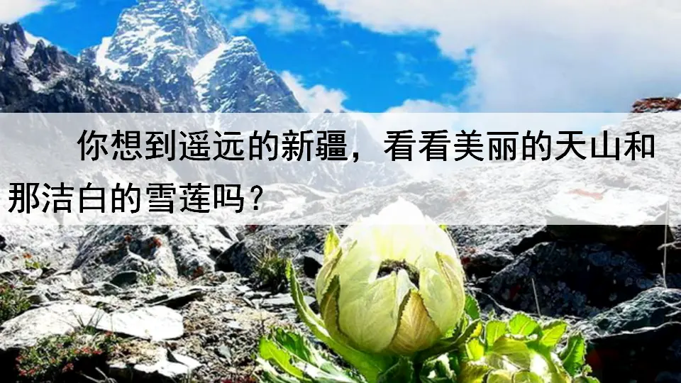 2  我多想去看看（课件3）_02.webp