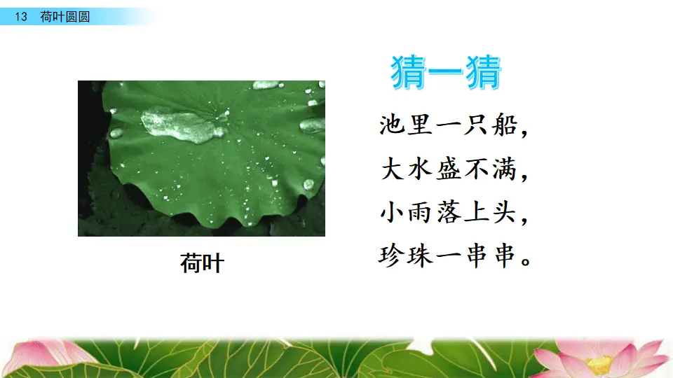 13 荷叶圆圆（课件3）_01.webp