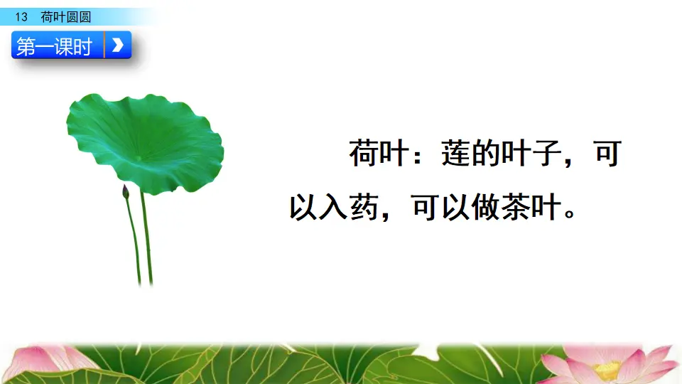 13 荷叶圆圆（课件3）_03.webp