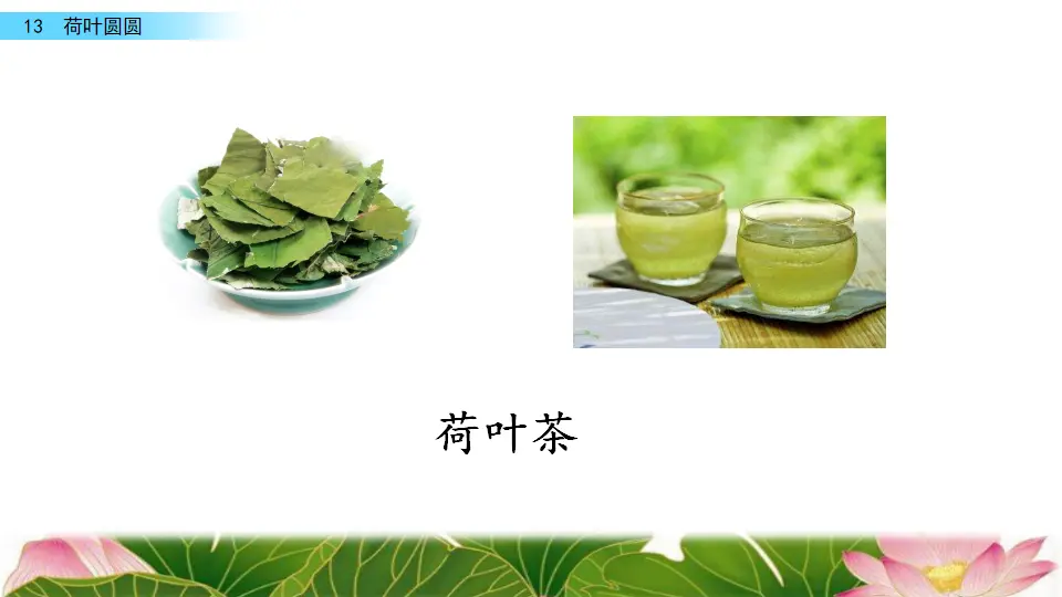 13 荷叶圆圆（课件3）_04.webp