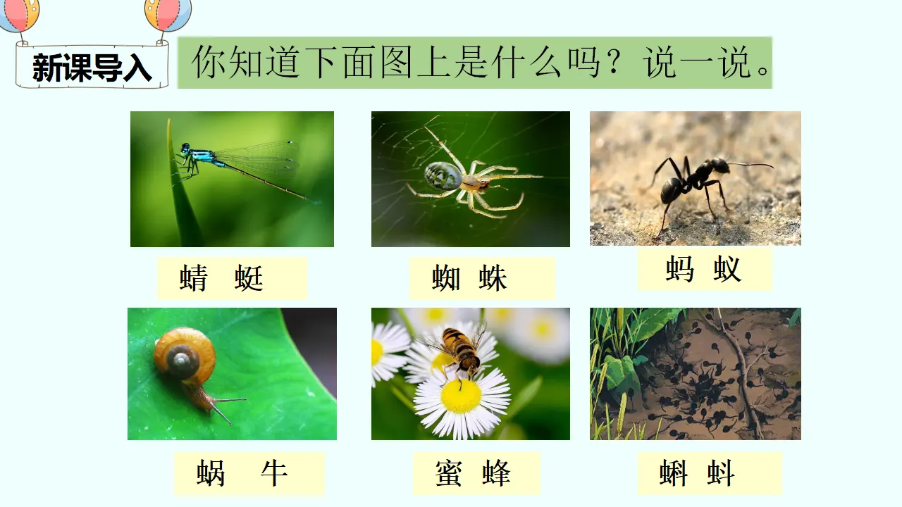 识字5 动物儿歌（课件4）_01.webp