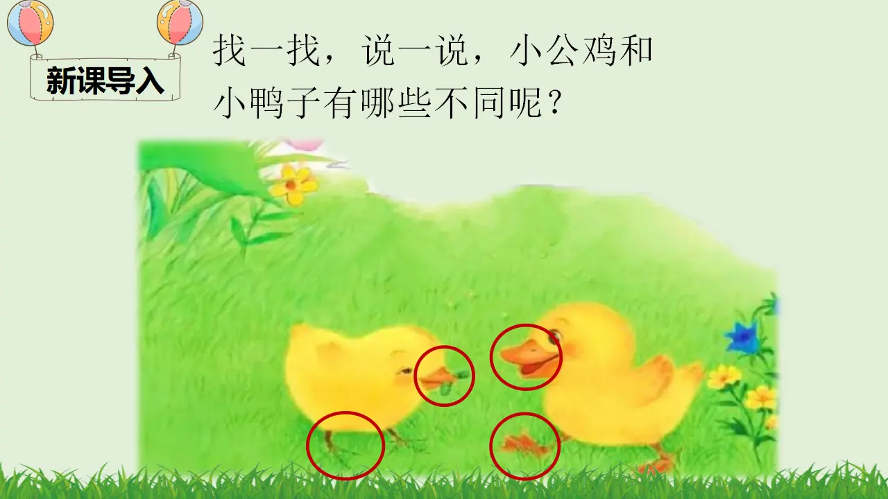 5 小公鸡和小鸭子（课件4）_01.webp