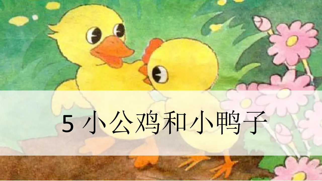 5 小公鸡和小鸭子（课件4）_02.webp