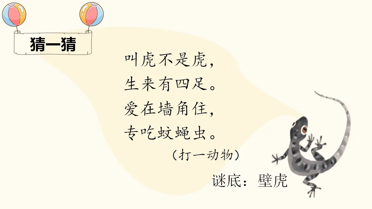 21 小壁虎借尾巴（课件4）_01.webp