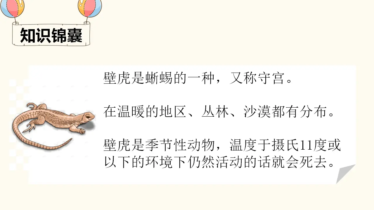 21 小壁虎借尾巴（课件4）_03.webp