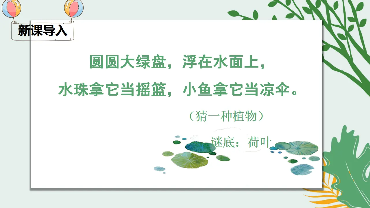 13 荷叶圆圆（课件4）_01.webp