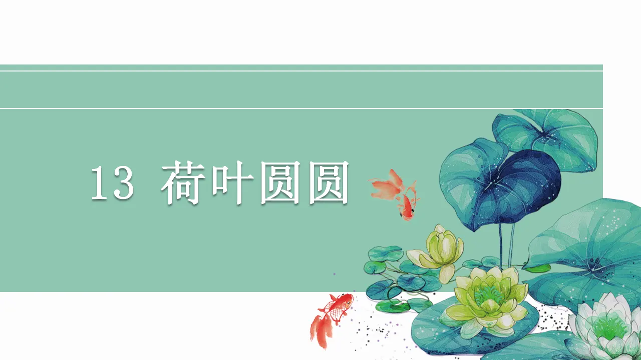 13 荷叶圆圆（课件4）_02.webp