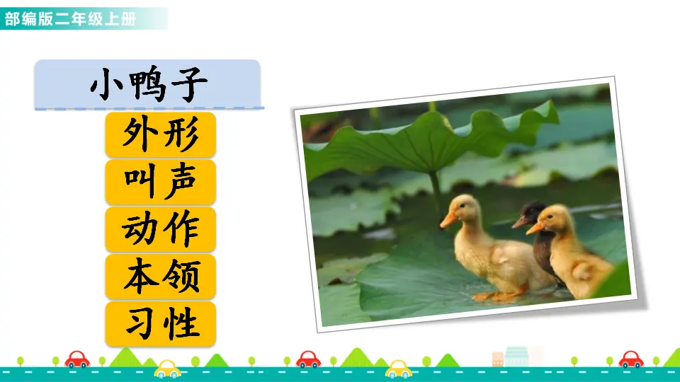 口语交际：有趣的动物（课件1）_05.webp