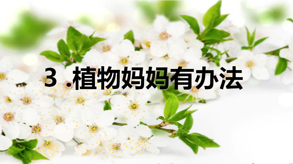 3 植物妈妈有办法（课件1）_01.webp