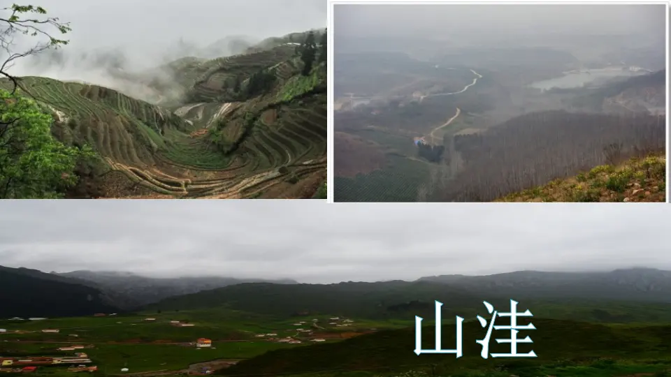 3 植物妈妈有办法（课件1）_04.webp