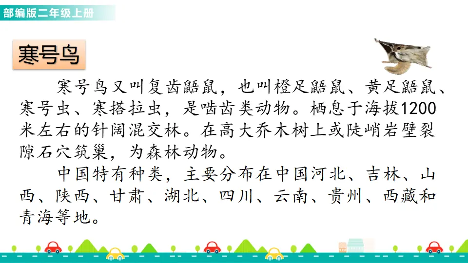 13 寒号鸟（课件1）_02.webp