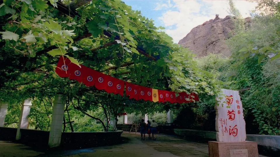 11 葡萄沟（课件1）_02.webp