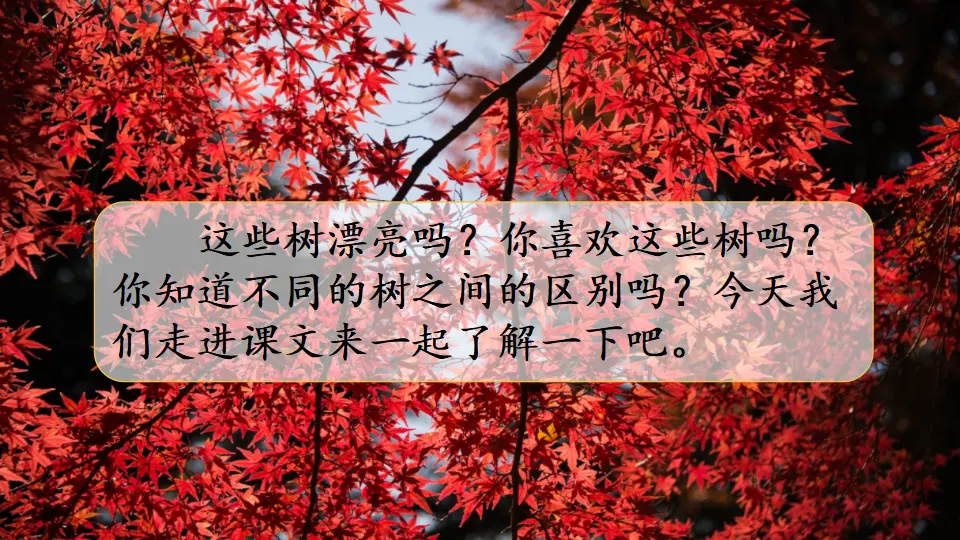 识字2 树之歌（课件2）_01.webp