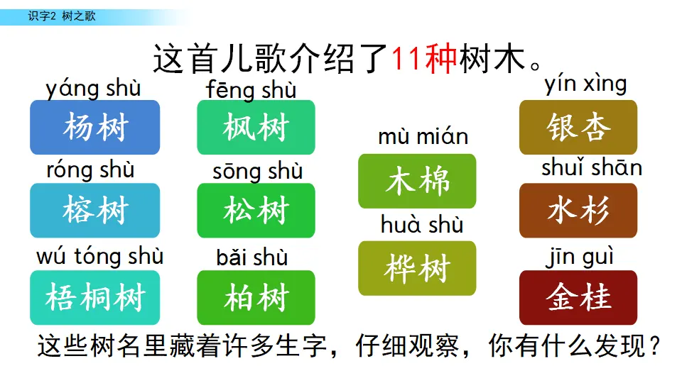 识字2 树之歌（课件2）_04.webp
