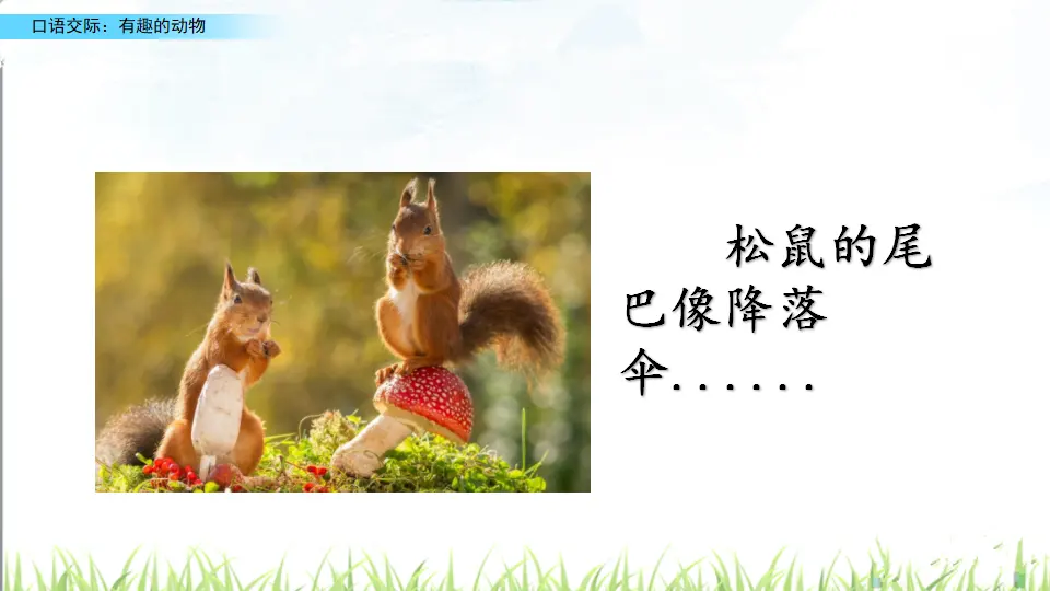 口语交际：有趣的动物（课件2）_04.webp