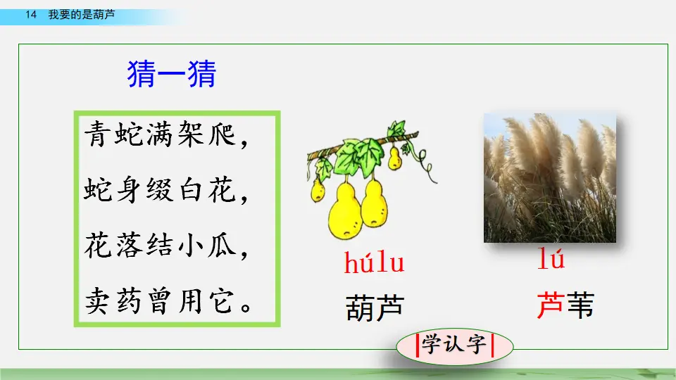 14 我要的是葫芦（课件2）_01.webp