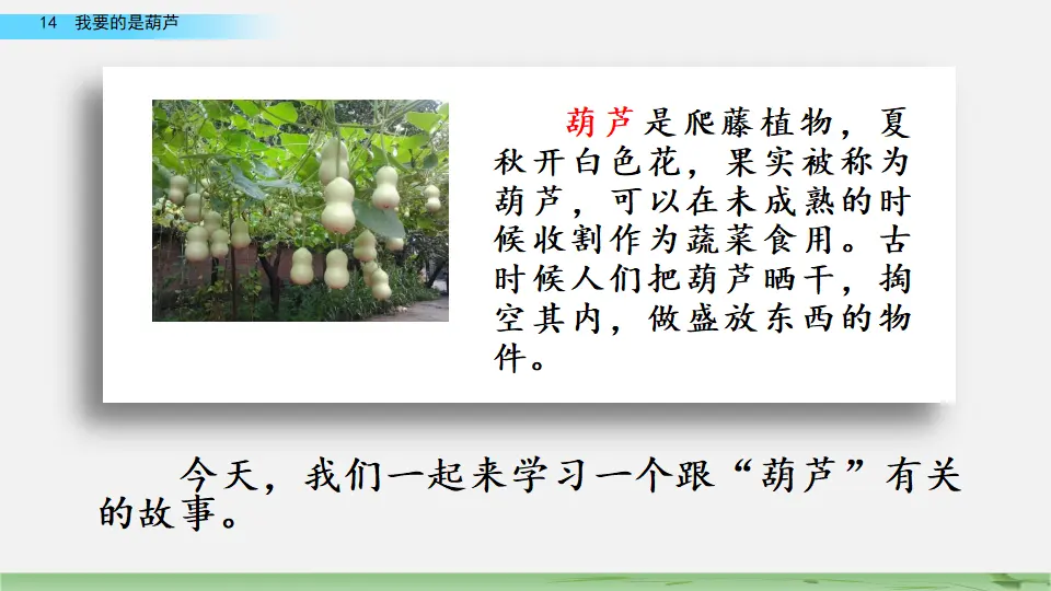 14 我要的是葫芦（课件2）_03.webp