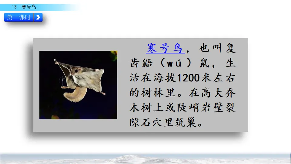 13 寒号鸟（课件2）_03.webp