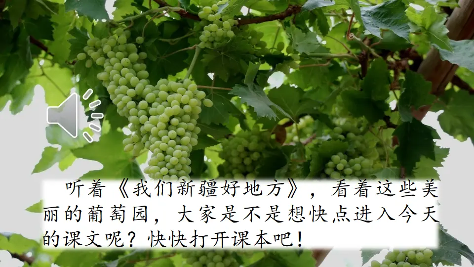 11 葡萄沟（课件2）_01.webp