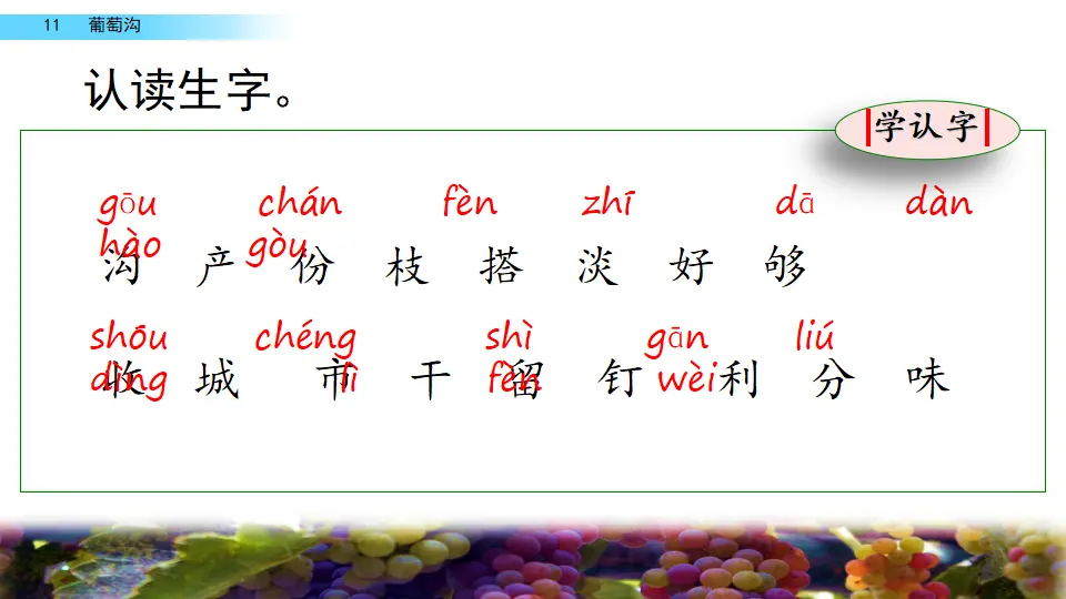 11 葡萄沟（课件2）_05.webp