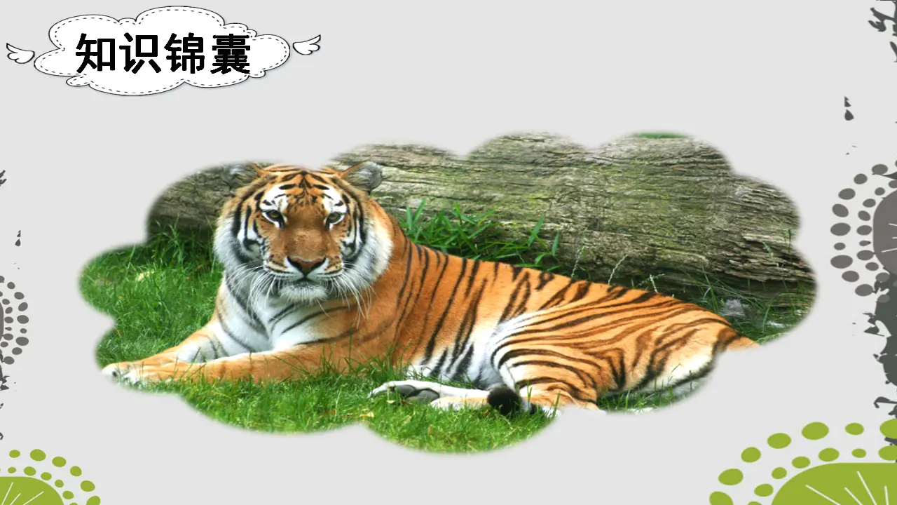 21狐假虎威（课件3）_03.webp