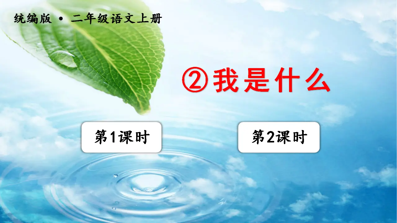 2.我是什么（课件3）_01.webp