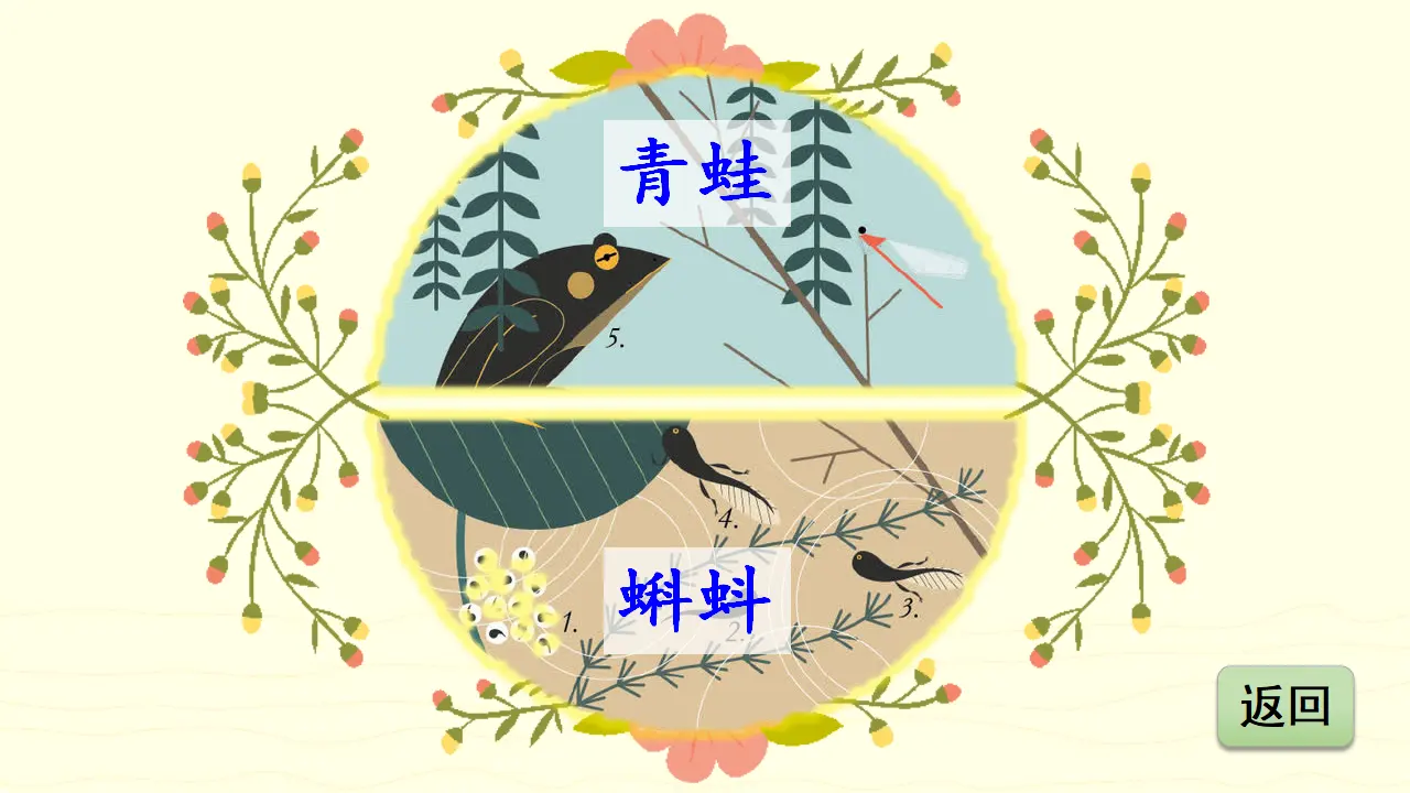 1小蝌蚪找妈妈（课件3）_05.webp