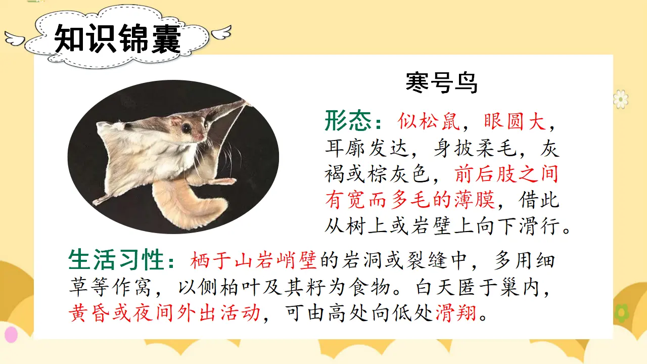 13寒号鸟（课件3）_03.webp