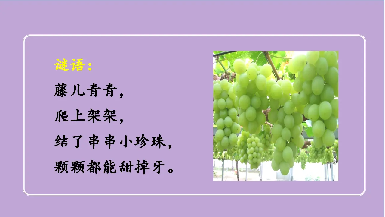 11.葡萄沟（课件3）_01.webp