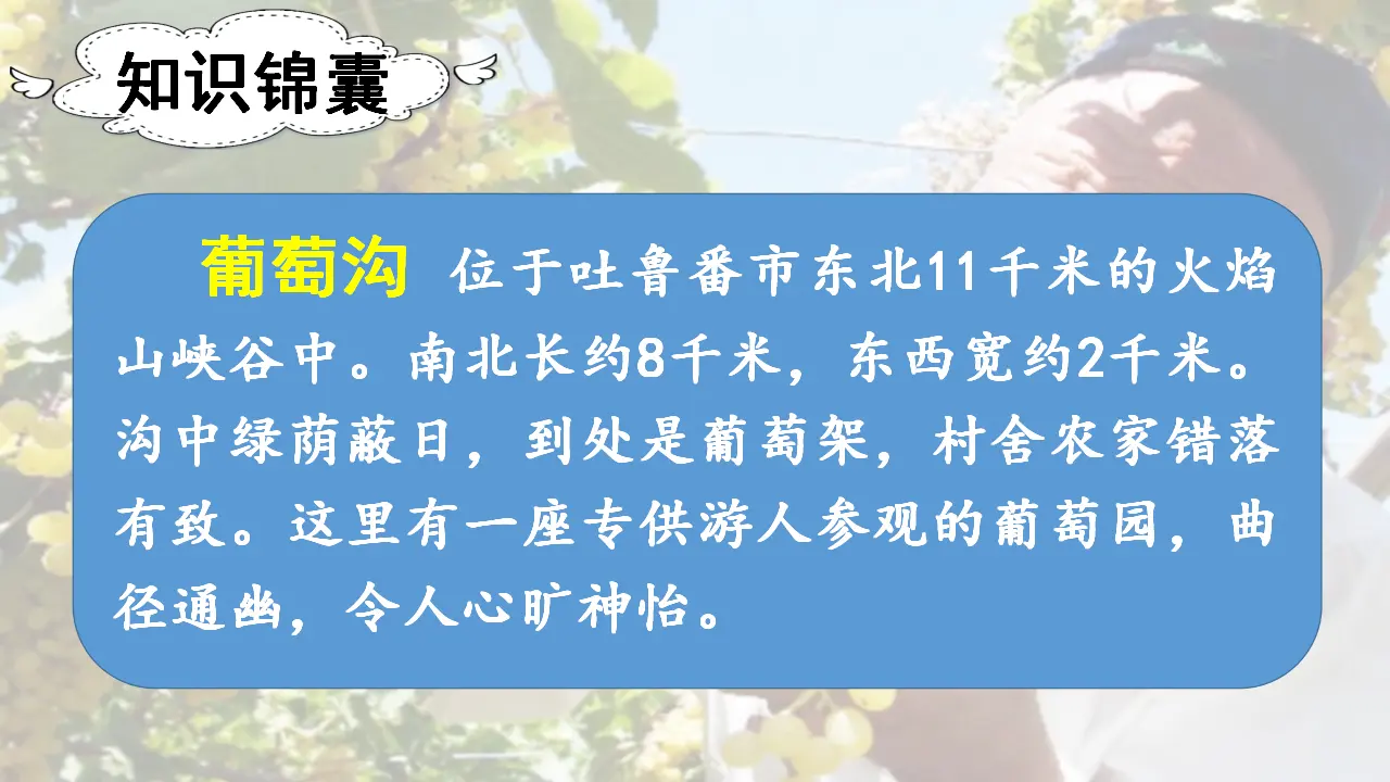 11.葡萄沟（课件3）_03.webp