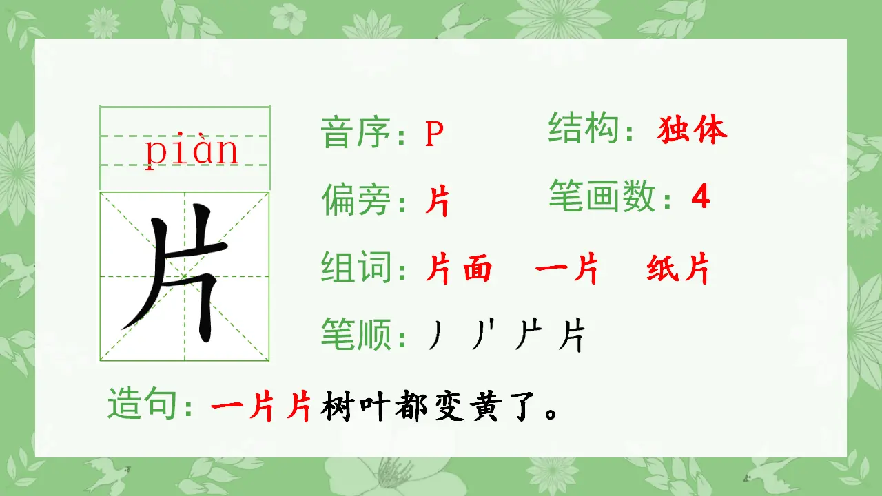 2.我是什么（课件4）_04.webp