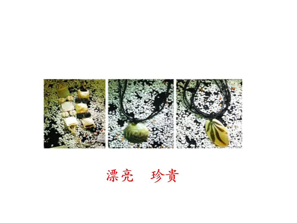 识字3《“贝”的故事》（课件1）_05.webp