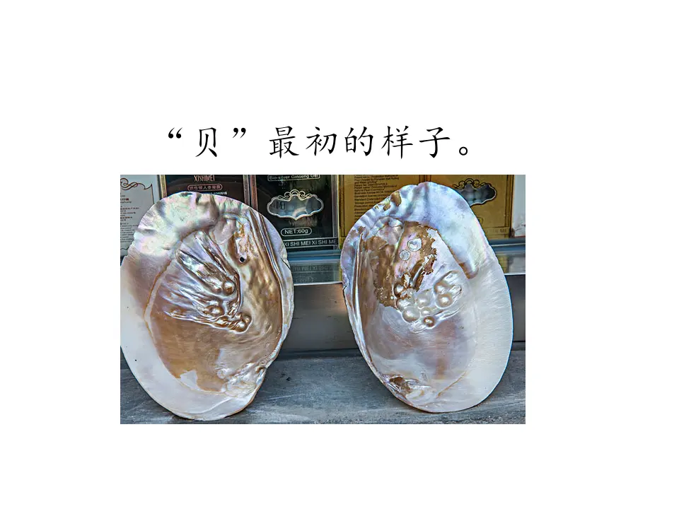 识字3《“贝”的故事》（课件1）_04.webp