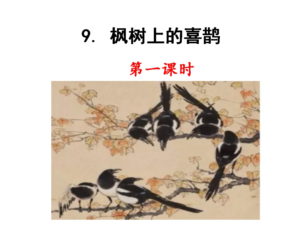 枫树上的喜鹊（课件1）_01.webp