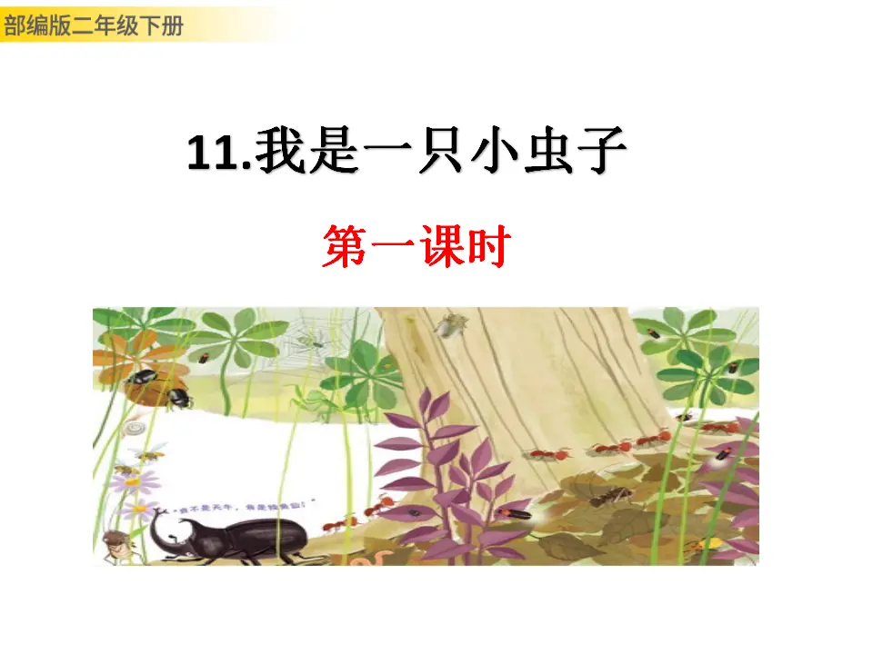 我是一只小虫子（课件1）_01.webp