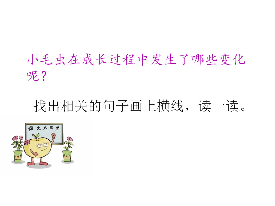 小毛虫（课件1）_04.webp