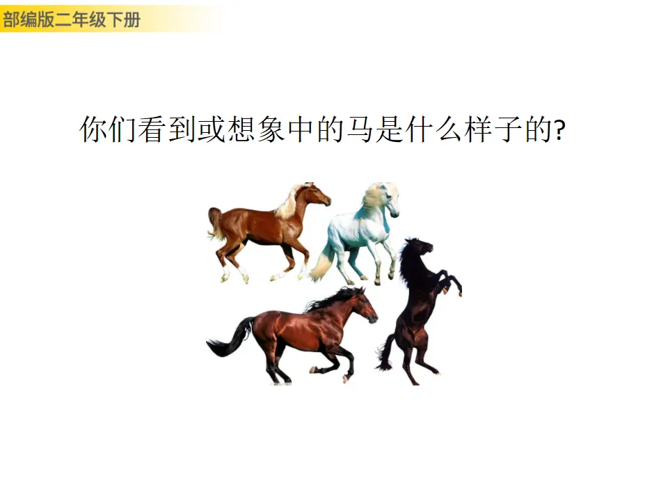 一匹出色的马（课件1）_02.webp
