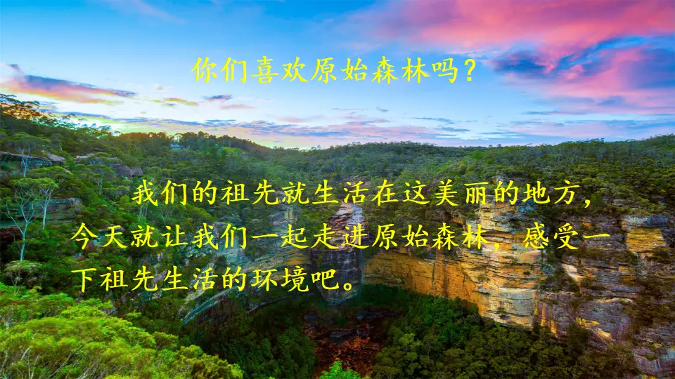 23 祖先的摇篮（课件2）_04.webp