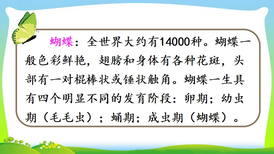 22 小毛虫（课件2）_02.webp
