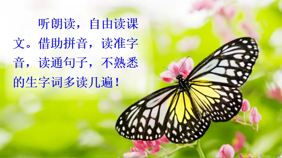 22 小毛虫（课件2）_05.webp