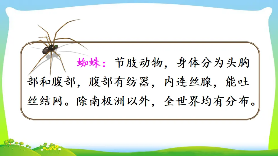 20 蜘蛛开店（课件2）_02.webp