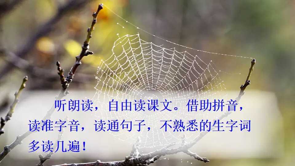 20 蜘蛛开店（课件2）_04.webp