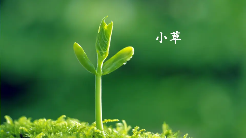 2 找春天（课件2）_01.webp
