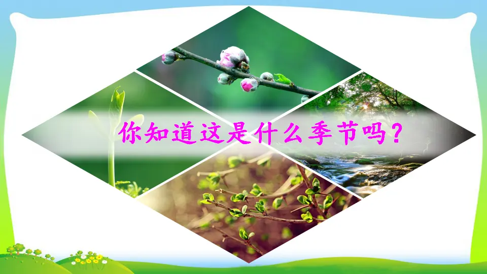 2 找春天（课件2）_05.webp