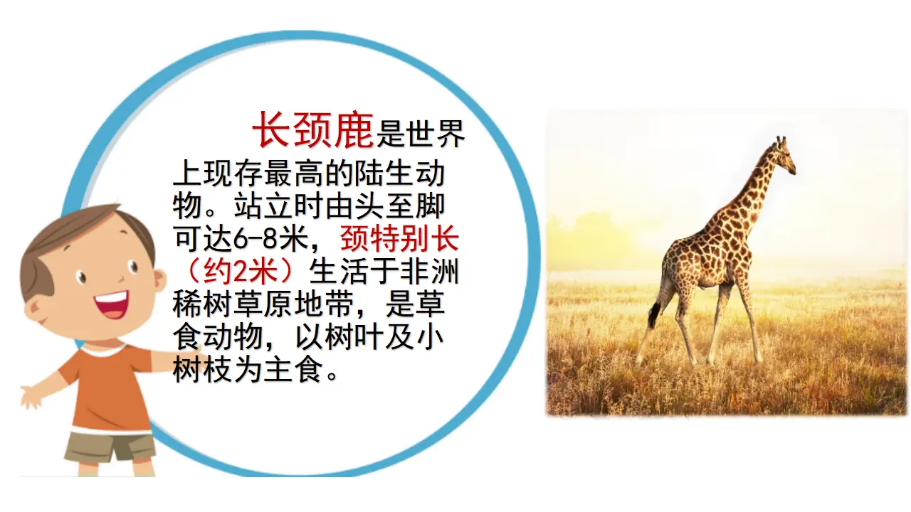 链接3：长颈鹿（课件3）_01.webp