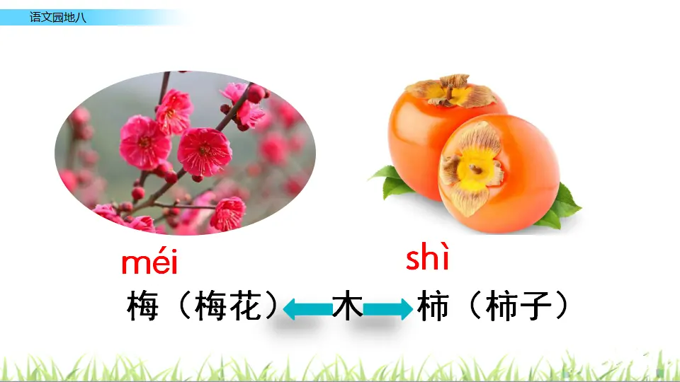 语文园地八（课件3）_03.webp